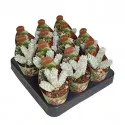 Crassula Deceptor (Crassula) v črepníku ø 6,5 cm