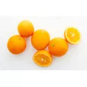 Horký pomaranč (Citrus x aurantium)