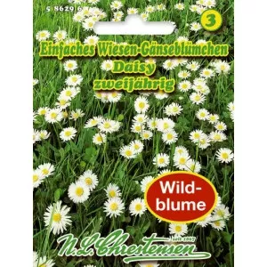 Margaréta Daisy