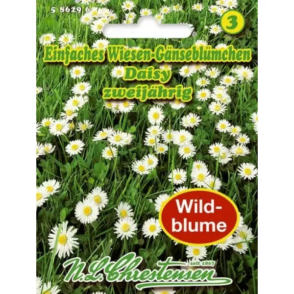 Margaréta Daisy Margaréta Daisy
