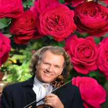 Čajohybridná ruža André Rieu ® v kvetináči 3L