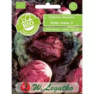 Čakanka červená (radicchio) Palla Rossa