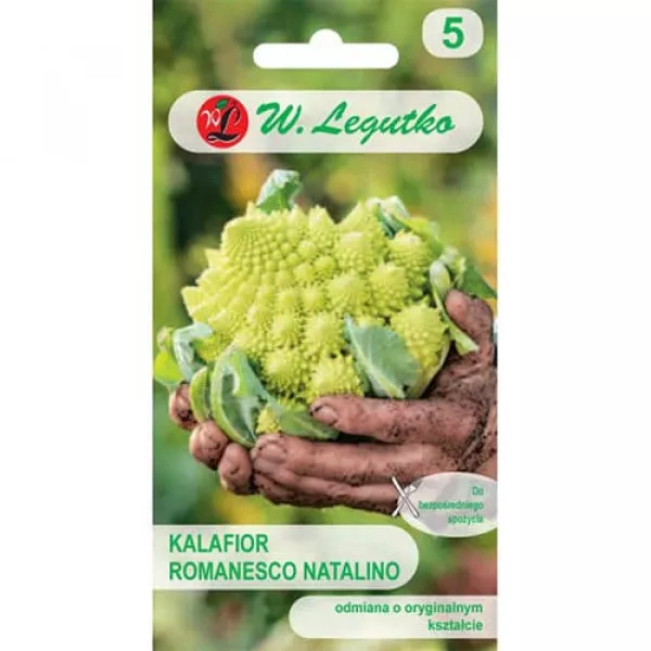 Karfiol Romanesco Karfiol Romanesco
