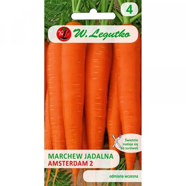 Mrkva Amsterdam 2 Mrkva Amsterdam 2