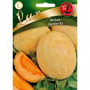 Melón Junior F1