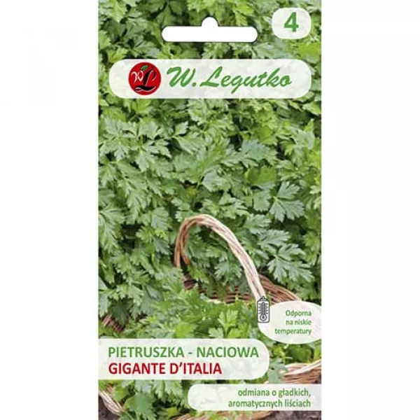 Pătrunjel Gigante d'Italia Pătrunjel Gigante d'Italia
