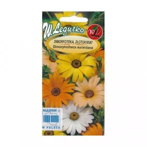 Margaretă africană Summertime Mix