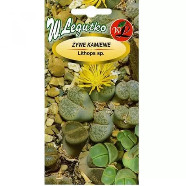Lithops (Živé kamene), mix farieb Lithops (Živé kamene), mix farieb