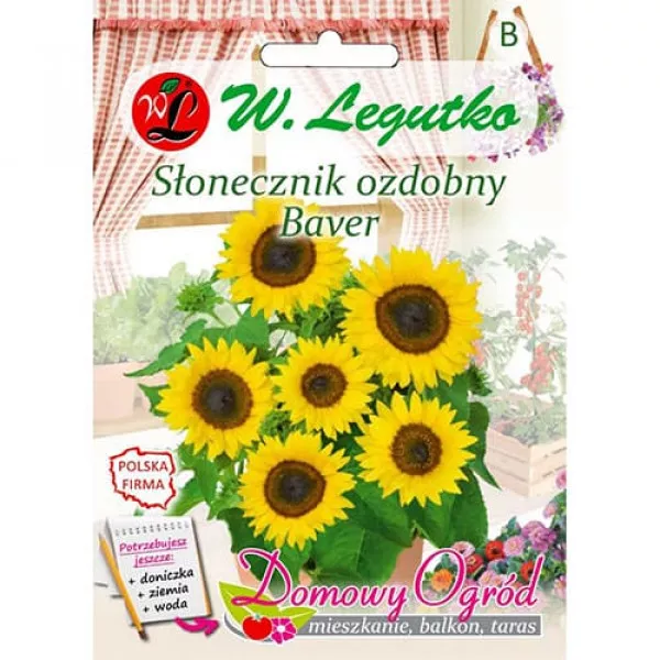 Dekoratívna slnečnica Baver Dekoratívna slnečnica Baver