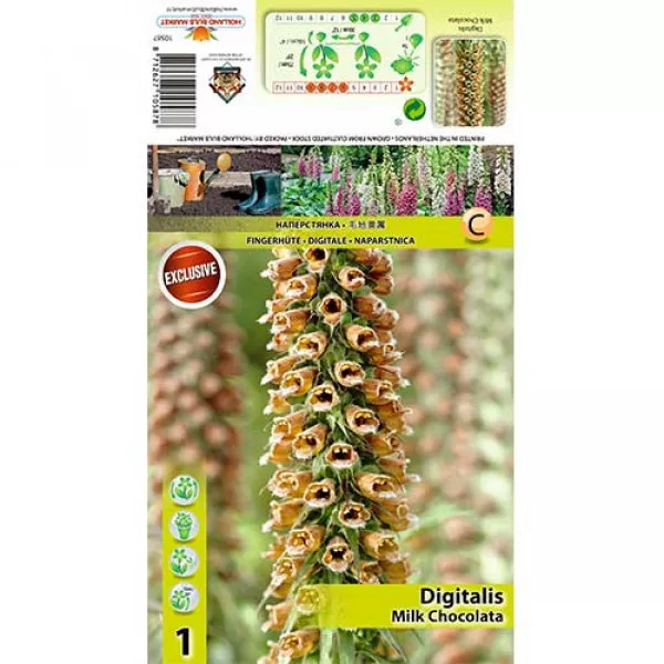 Náprstník (Digitalis) Milk Chocolate