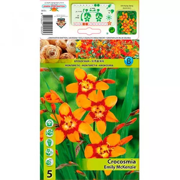 Montbrécia (Crocosmia) Emily McKenzie Montbrécia (Crocosmia) Emily McKenzie