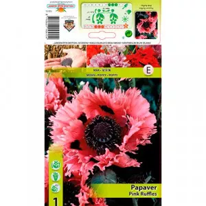 Mak záhradný (Papaver) Pink Ruffles