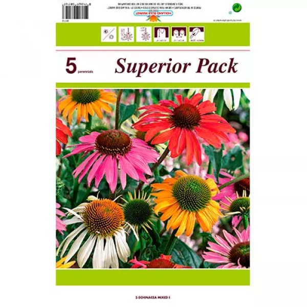 Echinacea mix viacfarebný