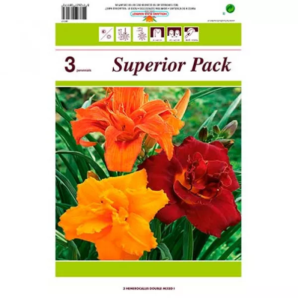 Denná ľalia (Hemerocallis) plnokvetý mix viacfarebný