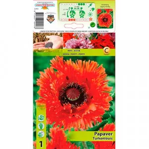 Mak záhradný (Papaver) Ruffles Turkenlouis