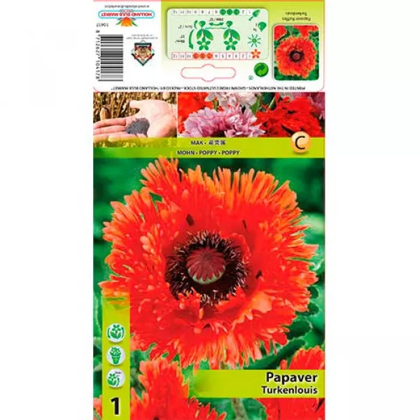 Mak záhradný (Papaver) Ruffles Turkenlouis