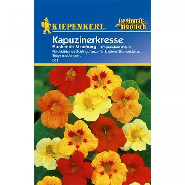 Kapucínka väčšia Rankende, farebná zmes