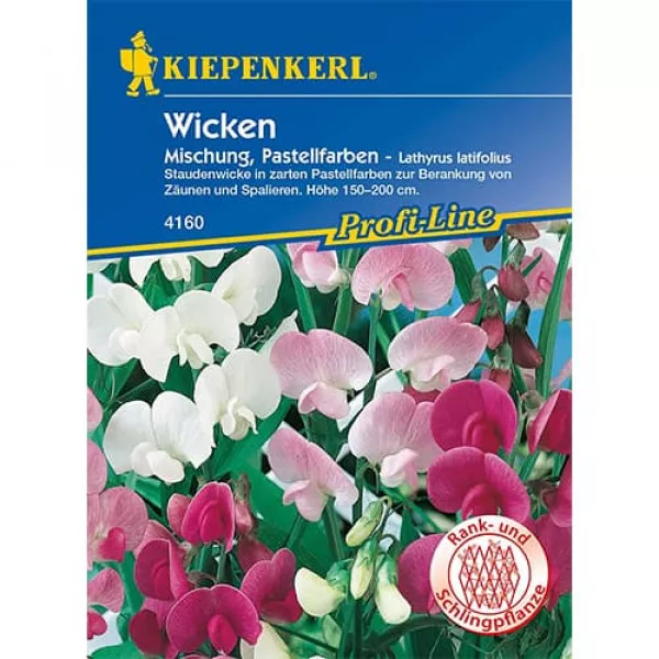 Lathyrus latifolius (Hrachor vonný) Pastell, farebná zmes