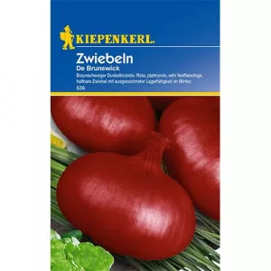 Cibuľa Braunschweiger