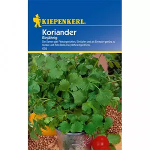 Koriander ročný