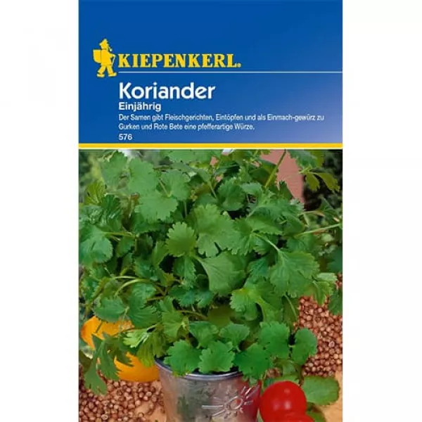 Koriander ročný