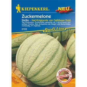 Melón Stellio F1