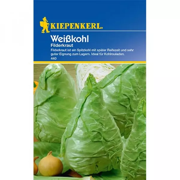 Kapusta Filderkraut