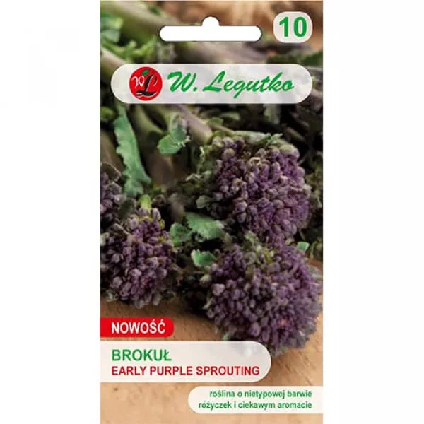 Brokolica Early Purple Brokolica Early Purple