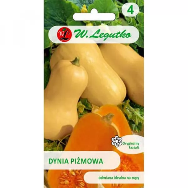 Tekvica Butternut