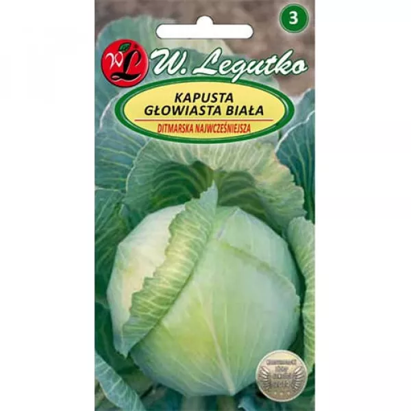 Kapusta Ditmarska