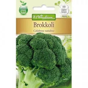 Brokolica Calabrese natalino