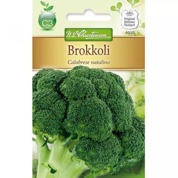 Brokolica Calabrese natalino