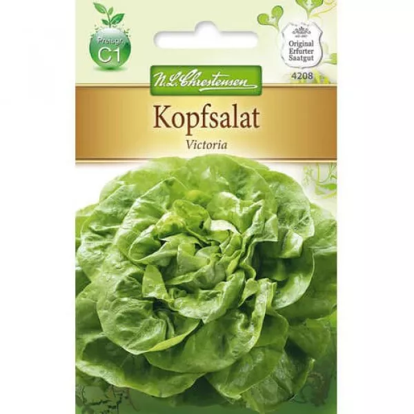 Zelený šalát Victoria Zelený šalát Victoria