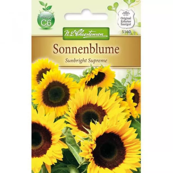 Dekoratívna slnečnica Sunbright Supreme F1 Dekoratívna slnečnica Sunbright Supreme F1