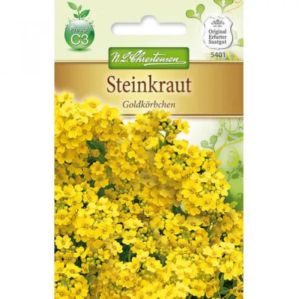 Alyssum Gold Cup Alyssum Gold Cup