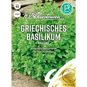 Grécka bazalka Bascuro
