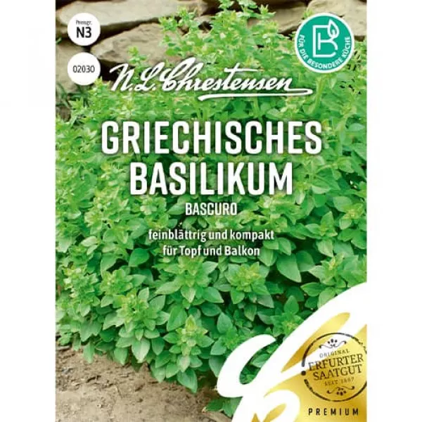 Grécka bazalka Bascuro