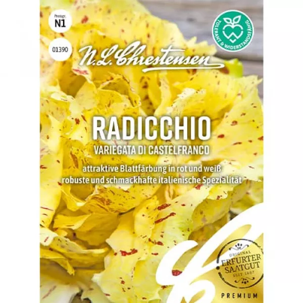 Čakanka biela (radicchio) Variegata di Castelfranco