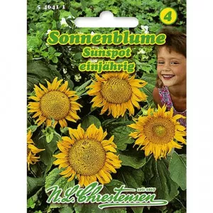 Dekoratívna slnečnica Sunspot