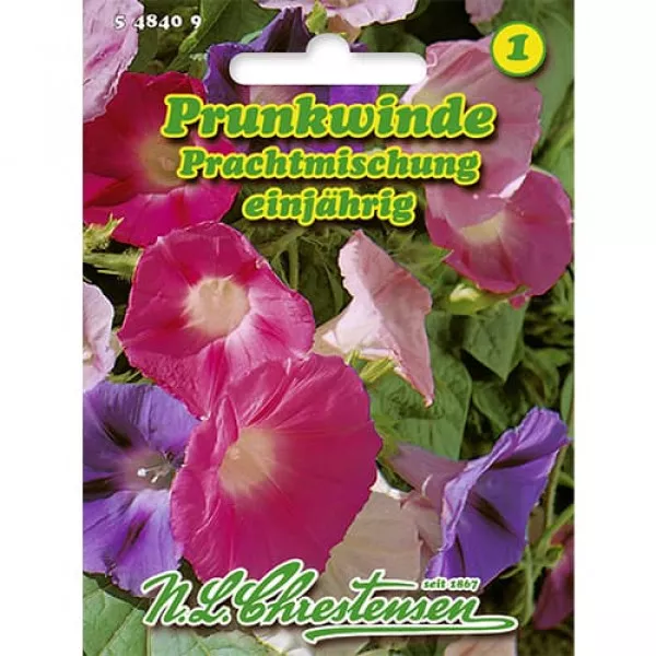 Povojník Splendid, mix viacfarebný