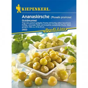 Physalis (Machovka) Gold Marble