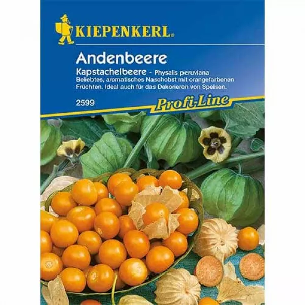 Physalis (Machovka)