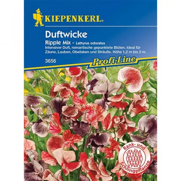 Lathyrus odoratus (Hrachor vonný) Ripple, mix farieb Lathyrus odoratus (Hrachor vonný) Ripple, mix farieb