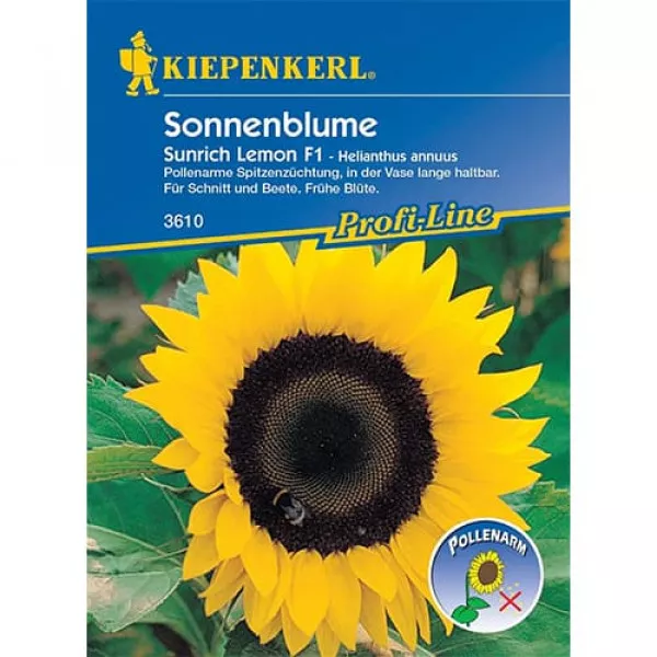Dekoratívna slnečnica Sunrich Lemon F1