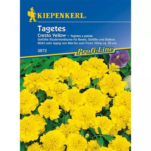 Aksamietnica Cresto Yellow