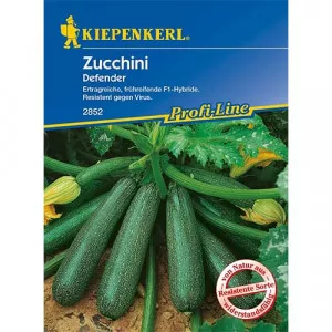 Cuketa Zucchini Defender F1