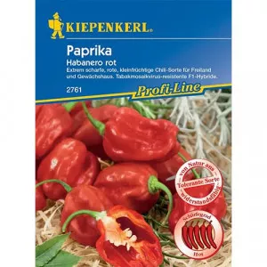 Čili paprička Habanero Red