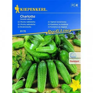 Uhorka Charlotte F1