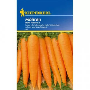 Mrkva Rote Riesen 2