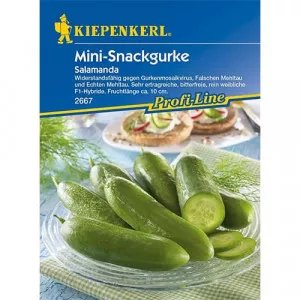 Uhorka Salamanda F1